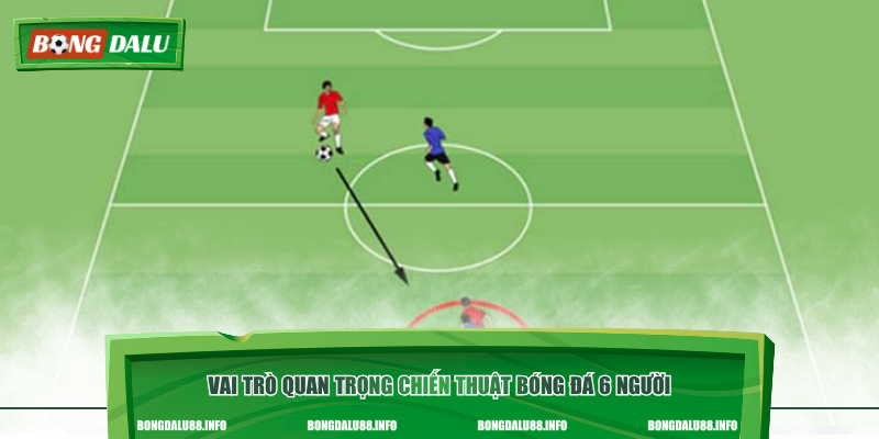 Vai trò quan trọng chiến thuật bóng đá 6 người